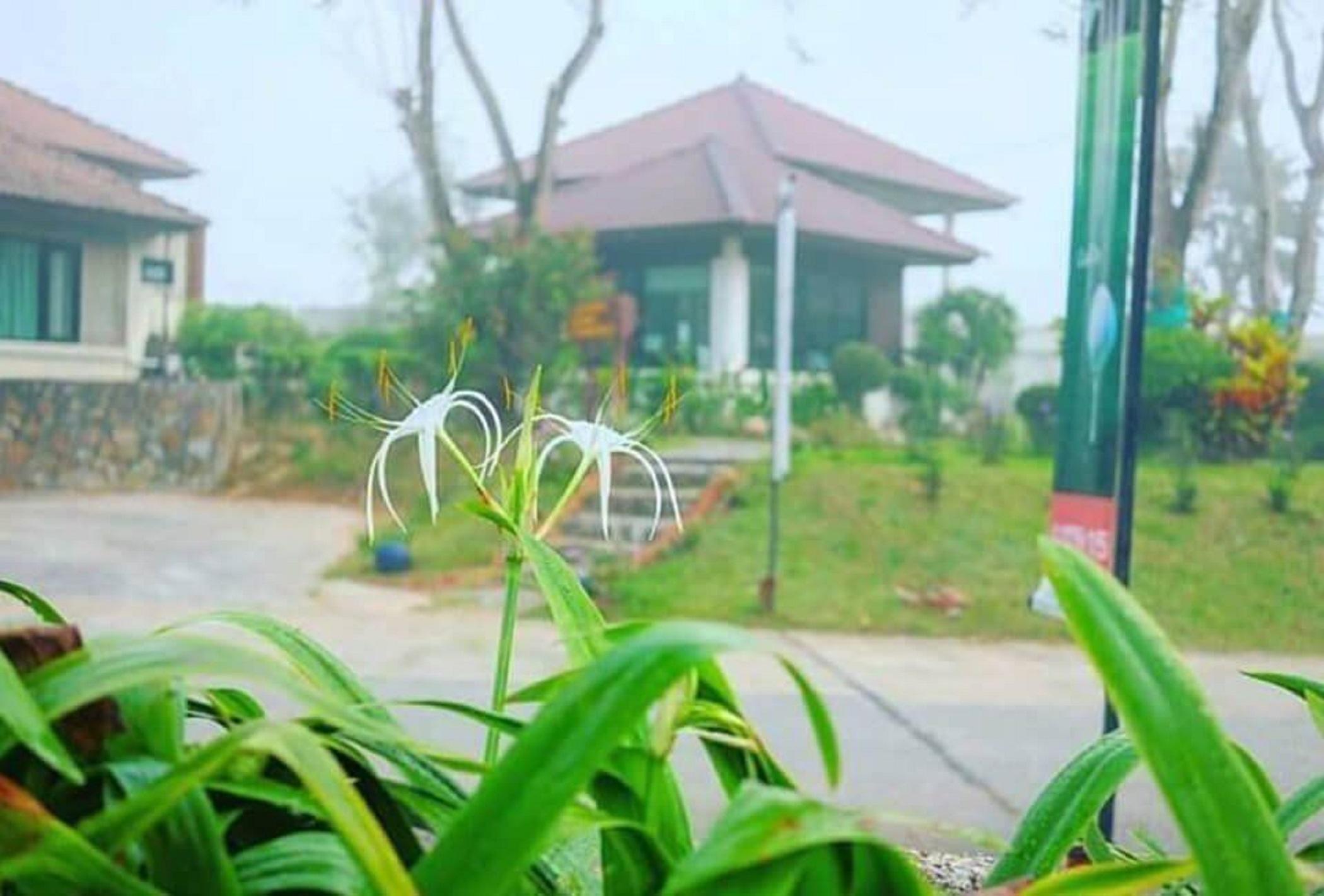 Pattaya Country Club & Resort Banpong Kültér fotó